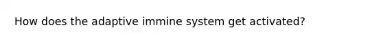 How does the adaptive immine system get activated?