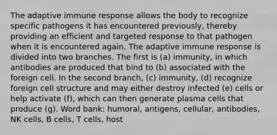 The adaptive immune response allows the body to recognize specific pathogens it has encountered previously, thereby providing an efficient and targeted response to that pathogen when it is encountered again. The adaptive immune response is divided into two branches. The first is (a) immunity, in which antibodies are produced that bind to (b) associated with the foreign cell. In the second branch, (c) immunity, (d) recognize foreign cell structure and may either destroy infected (e) cells or help activate (f), which can then generate plasma cells that produce (g). Word bank: humoral, antigens, cellular, antibodies, NK cells, B cells, T cells, host