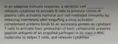 In an adaptive immune response, a dendritic cell __________. releases cytokines to activate B cells to produce clones of plasma cells activates humoral and cell-mediated immunity by releasing interferons after engulfing a virus activates complement proteins binds to an accessory protein on cytotoxic T cells to activate their production of toxic compounds presents peptide antigens of an engulfed pathogen in its class II MHC molecules to helper T cells, and releases cytokines