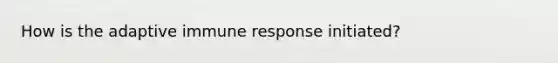 How is the adaptive immune response initiated?