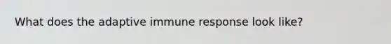What does the adaptive immune response look like?