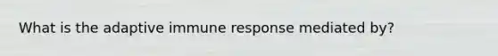 What is the adaptive immune response mediated by?