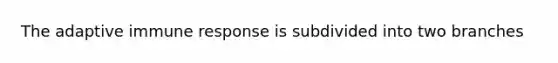 The adaptive immune response is subdivided into two branches