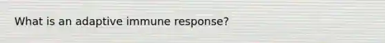 What is an adaptive immune response?