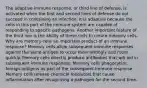 The adaptive immune response, or third line of defense, is activated when the first and second lines of defense do not succeed in containing an infection. It is adaptive because the cells in this part of the immune system are capable of responding to specific pathogens. Another important feature of the third line is the ability of these cells to create memory cells. Why are memory cells an important product of an immune response? Memory cells allow subsequent immune responses against the same antigen to occur more strongly and more quickly. Memory cells directly produce antibodies that will aid in subsequent immune responses. Memory cells phagocytize foreign antigens as part of the subsequent immune response. Memory cells release chemical mediators that cause inflammation after recognizing a pathogen for the second time.