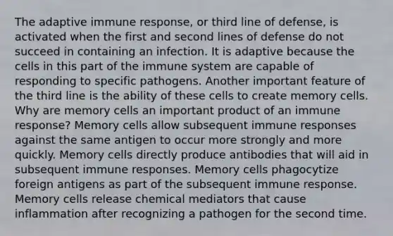 The adaptive immune response, or third line of defense, is activated when the first and second lines of defense do not succeed in containing an infection. It is adaptive because the cells in this part of the immune system are capable of responding to specific pathogens. Another important feature of the third line is the ability of these cells to create memory cells. Why are memory cells an important product of an immune response? Memory cells allow subsequent immune responses against the same antigen to occur more strongly and more quickly. Memory cells directly produce antibodies that will aid in subsequent immune responses. Memory cells phagocytize foreign antigens as part of the subsequent immune response. Memory cells release chemical mediators that cause inflammation after recognizing a pathogen for the second time.