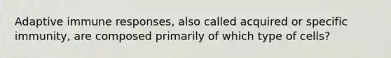 Adaptive immune responses, also called acquired or specific immunity, are composed primarily of which type of cells?