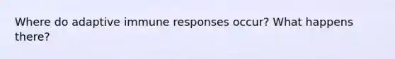 Where do adaptive immune responses occur? What happens there?