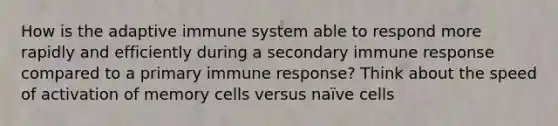 How is the adaptive immune system able to respond more rapidly and efficiently during a secondary immune response compared to a primary immune response? Think about the speed of activation of memory cells versus naïve cells