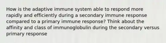 How is the adaptive immune system able to respond more rapidly and efficiently during a secondary immune response compared to a primary immune response? Think about the affinity and class of immunoglobulin during the secondary versus primary response