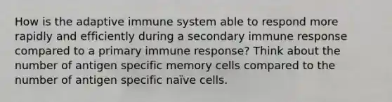 How is the adaptive immune system able to respond more rapidly and efficiently during a secondary immune response compared to a primary immune response? Think about the number of antigen specific memory cells compared to the number of antigen specific naïve cells.