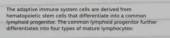 The adaptive immune system cells are derived from hematopoietic stem cells that differentiate into a common lymphoid progenitor. The common lymphoid progenitor further differentiates into four types of mature lymphocytes: