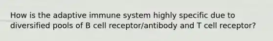 How is the adaptive immune system highly specific due to diversified pools of B cell receptor/antibody and T cell receptor?