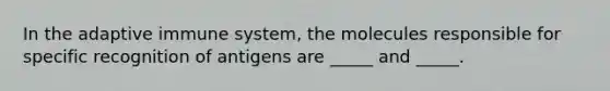 In the adaptive immune system, the molecules responsible for specific recognition of antigens are _____ and _____.