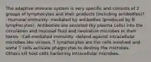 The adaptive immune system is very specific and consists of 2 groups of lymphocytes and their products (including antibodies)? ◦Humoral immunity- mediated by antibodies (produced by B lymphocytes). Antibodies are secreted (by plasma cells) into the circulation and mucosal fluid and neutralize microbes or their toxins ◦Cell-mediated immunity -defend against intracellular microbes like viruses. T lymphocytes are the cells involved and some T cells activate phagocytes to destroy the microbes. Others kill host cells harboring intracellular microbes.