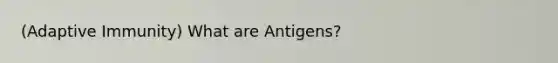 (Adaptive Immunity) What are Antigens?