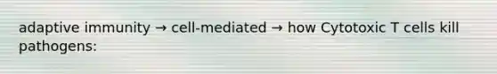 adaptive immunity → cell-mediated → how Cytotoxic T cells kill pathogens: