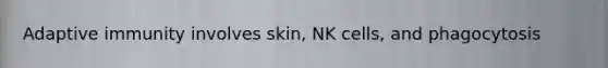 Adaptive immunity involves skin, NK cells, and phagocytosis