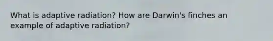 What is adaptive radiation? How are Darwin's finches an example of adaptive radiation?