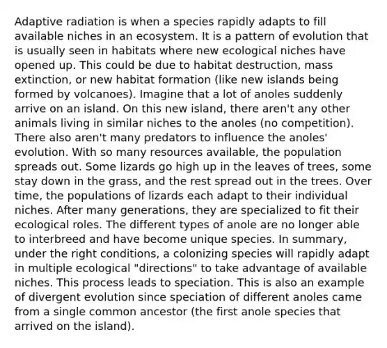 Adaptive radiation is when a species rapidly adapts to fill available niches in an ecosystem. It is a pattern of evolution that is usually seen in habitats where new ecological niches have opened up. This could be due to habitat destruction, mass extinction, or new habitat formation (like new islands being formed by volcanoes). Imagine that a lot of anoles suddenly arrive on an island. On this new island, there aren't any other animals living in similar niches to the anoles (no competition). There also aren't many predators to influence the anoles' evolution. With so many resources available, the population spreads out. Some lizards go high up in the leaves of trees, some stay down in the grass, and the rest spread out in the trees. Over time, the populations of lizards each adapt to their individual niches. After many generations, they are specialized to fit their ecological roles. The different types of anole are no longer able to interbreed and have become unique species. In summary, under the right conditions, a colonizing species will rapidly adapt in multiple ecological "directions" to take advantage of available niches. This process leads to speciation. This is also an example of divergent evolution since speciation of different anoles came from a single common ancestor (the first anole species that arrived on the island).