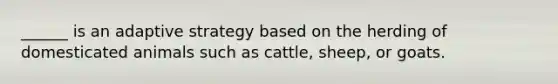 ______ is an adaptive strategy based on the herding of domesticated animals such as cattle, sheep, or goats.