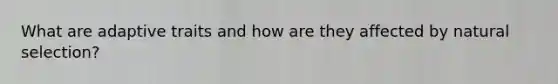 What are adaptive traits and how are they affected by natural selection?