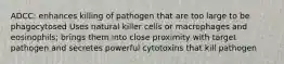 ADCC: enhances killing of pathogen that are too large to be phagocytosed Uses natural killer cells or macrophages and eosinophils; brings them into close proximity with target pathogen and secretes powerful cytotoxins that kill pathogen