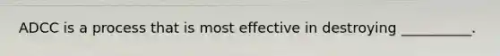 ADCC is a process that is most effective in destroying __________.