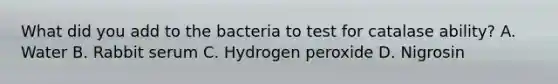 What did you add to the bacteria to test for catalase ability? A. Water B. Rabbit serum C. Hydrogen peroxide D. Nigrosin