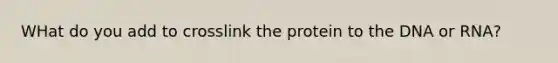 WHat do you add to crosslink the protein to the DNA or RNA?