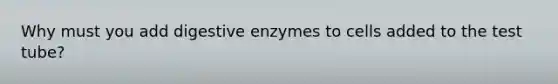 Why must you add digestive enzymes to cells added to the test tube?