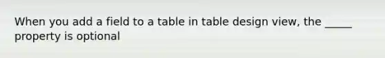 When you add a field to a table in table design view, the _____ property is optional