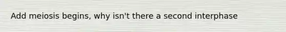 Add meiosis begins, why isn't there a second interphase