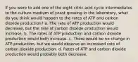 If you were to add one of the eight citric acid cycle intermediates to the culture medium of yeast growing in the laboratory, what do you think would happen to the rates of ATP and carbon dioxide production? a. The rate of ATP production would decrease, but the rate of carbon dioxide production would increase. b. The rates of ATP production and carbon dioxide production would both increase. c. There would be no change in ATP production, but we would observe an increased rate of carbon dioxide production. d. Rates of ATP and carbon dioxide production would probably both decrease.