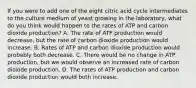 If you were to add one of the eight citric acid cycle intermediates to the culture medium of yeast growing in the laboratory, what do you think would happen to the rates of ATP and carbon dioxide production? A. The rate of ATP production would decrease, but the rate of carbon dioxide production would increase. B. Rates of ATP and carbon dioxide production would probably both decrease. C. There would be no change in ATP production, but we would observe an increased rate of carbon dioxide production. D. The rates of ATP production and carbon dioxide production would both increase.