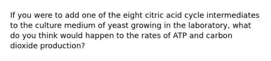 If you were to add one of the eight citric acid cycle intermediates to the culture medium of yeast growing in the laboratory, what do you think would happen to the rates of ATP and carbon dioxide production?