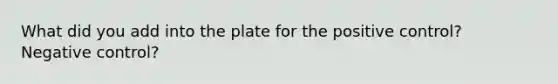 What did you add into the plate for the positive control? Negative control?