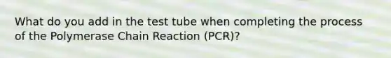 What do you add in the test tube when completing the process of the Polymerase Chain Reaction (PCR)?