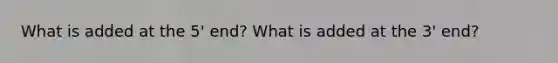 What is added at the 5' end? What is added at the 3' end?