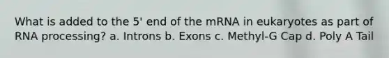 What is added to the 5' end of the mRNA in eukaryotes as part of RNA processing? a. Introns b. Exons c. Methyl-G Cap d. Poly A Tail