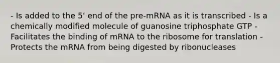 - Is added to the 5' end of the pre-mRNA as it is transcribed - Is a chemically modified molecule of guanosine triphosphate GTP - Facilitates the binding of mRNA to the ribosome for translation - Protects the mRNA from being digested by ribonucleases