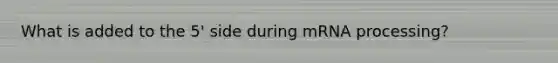 What is added to the 5' side during mRNA processing?