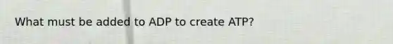 What must be added to ADP to create ATP?