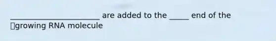 _______________________ are added to the _____ end of the growing RNA molecule