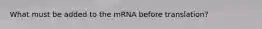 What must be added to the mRNA before translation?