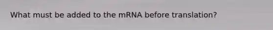 What must be added to the mRNA before translation?