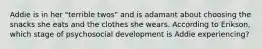 Addie is in her "terrible twos" and is adamant about choosing the snacks she eats and the clothes she wears. According to Erikson, which stage of psychosocial development is Addie experiencing?