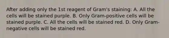 After adding only the 1st reagent of Gram's staining: A. All the cells will be stained purple. B. Only Gram-positive cells will be stained purple. C. All the cells will be stained red. D. Only Gram-negative cells will be stained red.