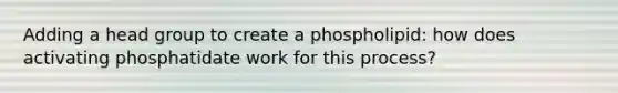 Adding a head group to create a phospholipid: how does activating phosphatidate work for this process?