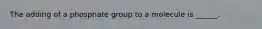 The adding of a phosphate group to a molecule is ______.